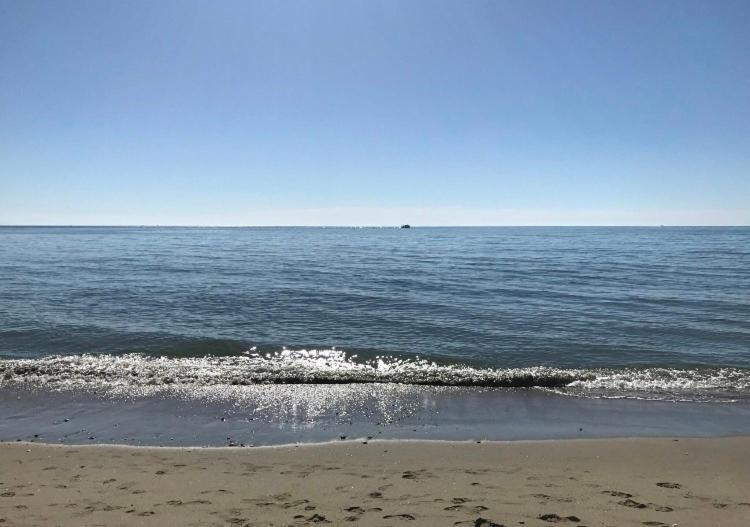 La Biznaga Fuengirola Los Boliches Exteriör bild